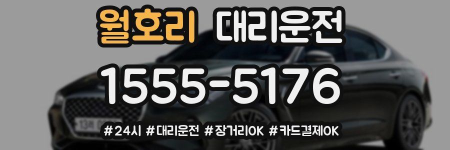 월호리 대리운전