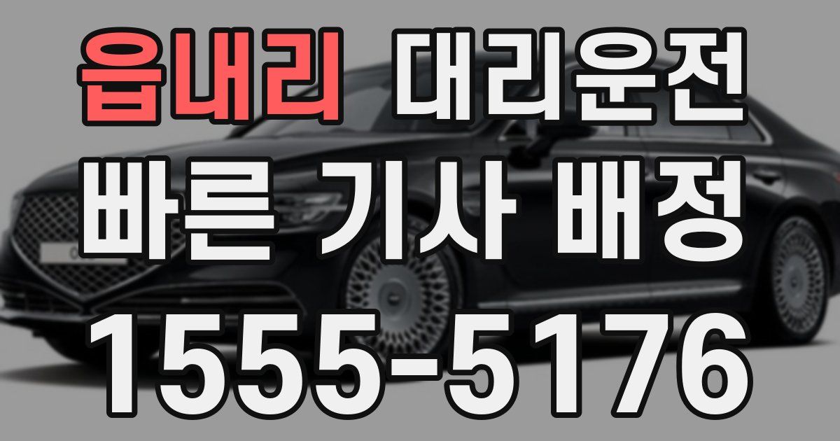 일일대리기사