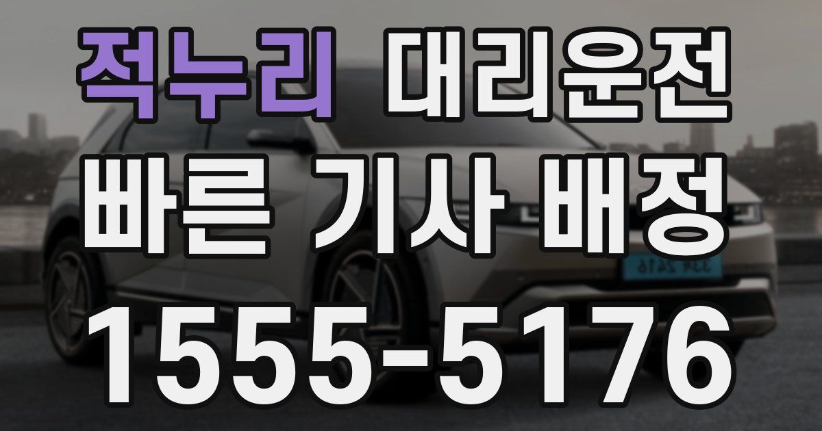 일일대리기사