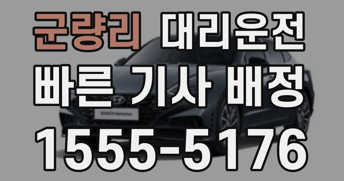 일일대리기사