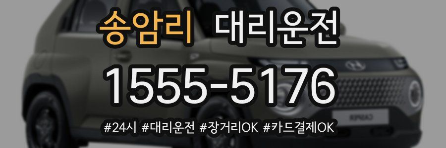 송암리 대리운전