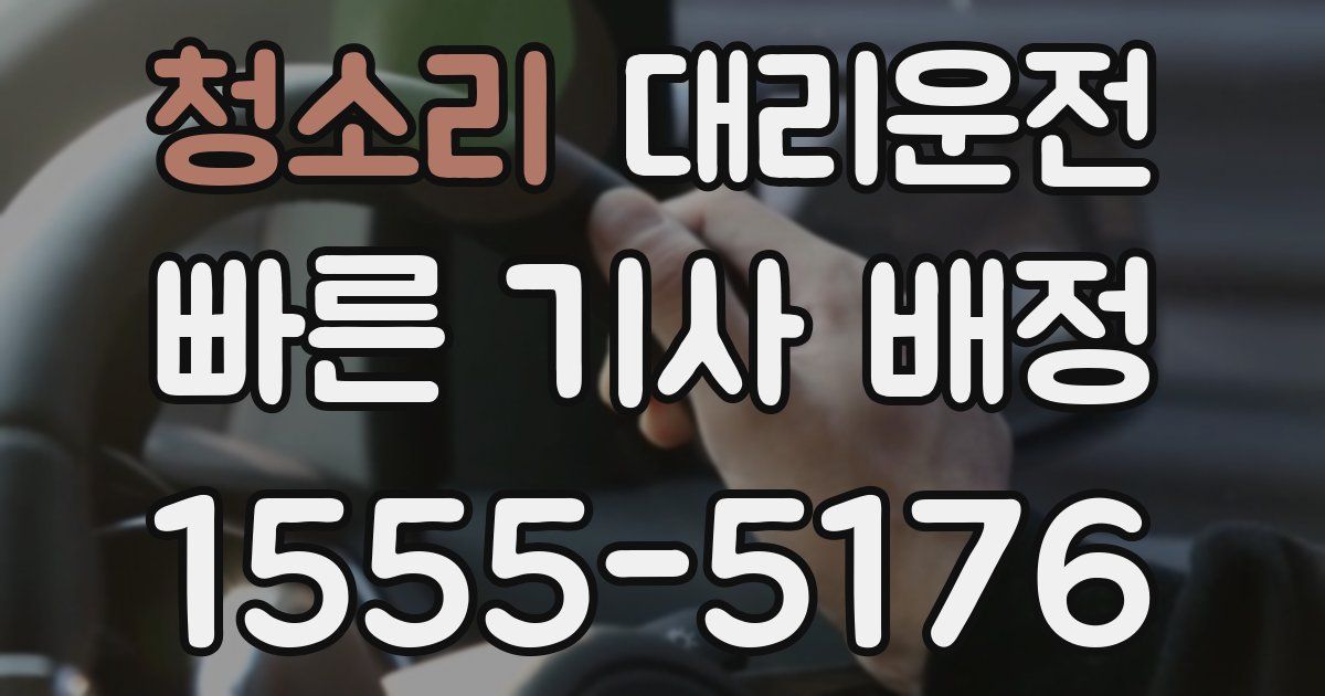 일일대리기사