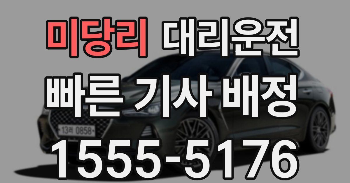 일일대리기사