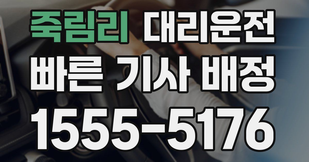 일일대리기사
