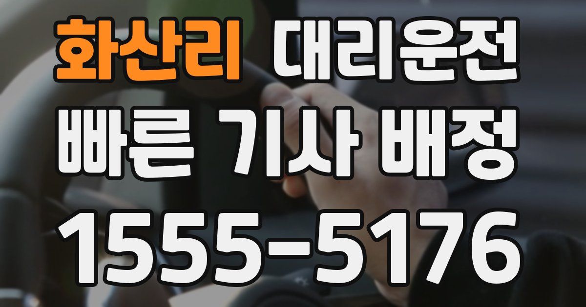 일일대리기사