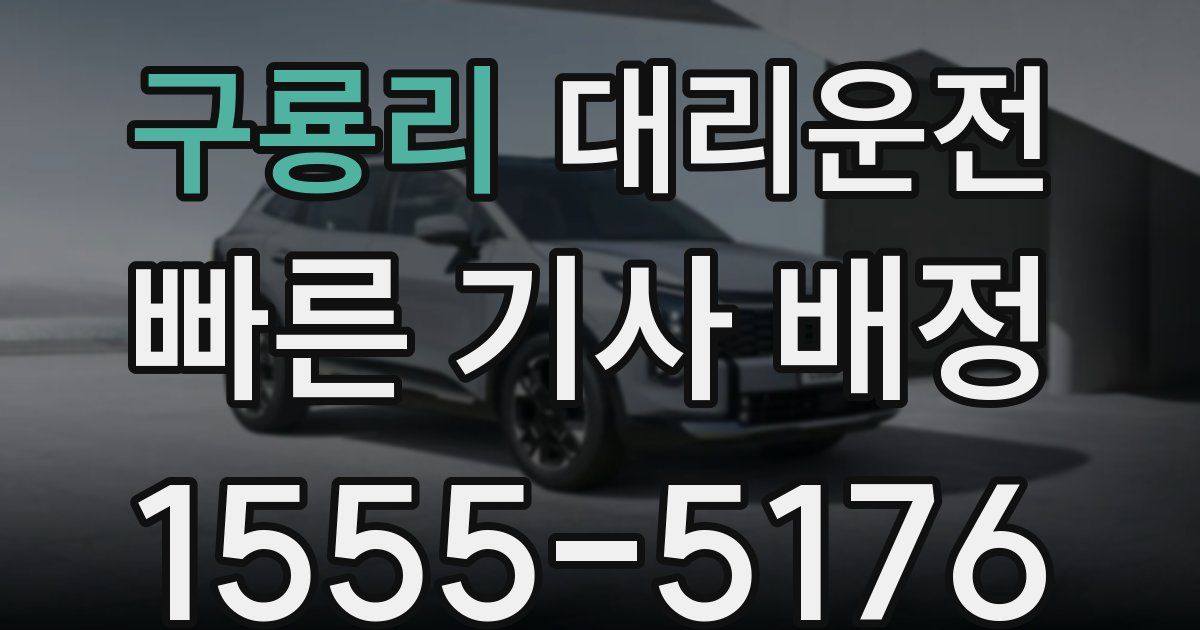 일일대리기사