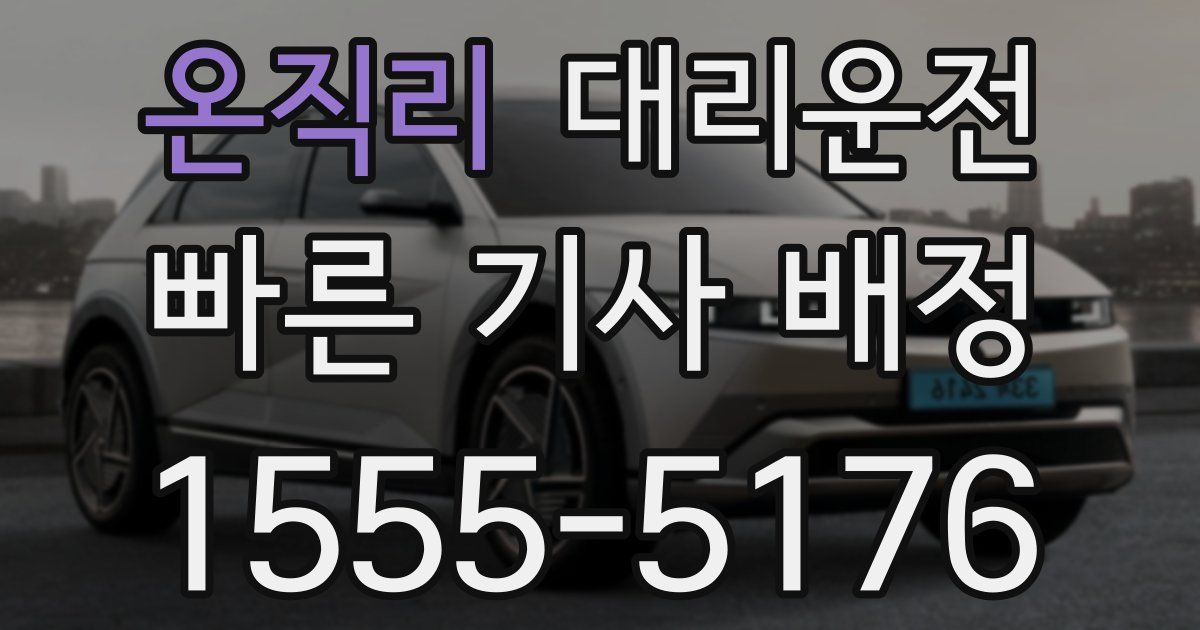 일일대리기사