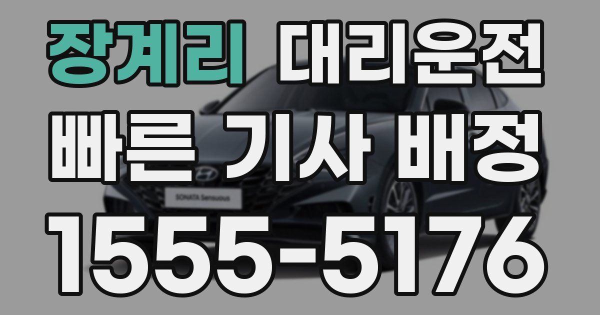 일일대리기사