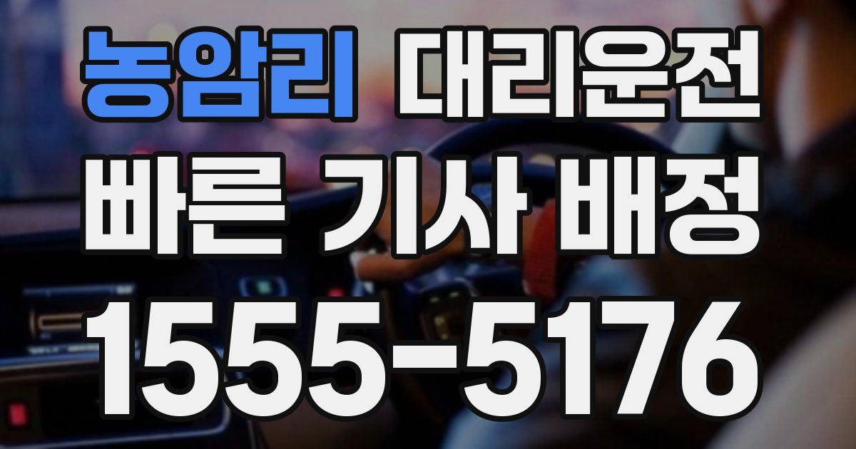 일일대리기사