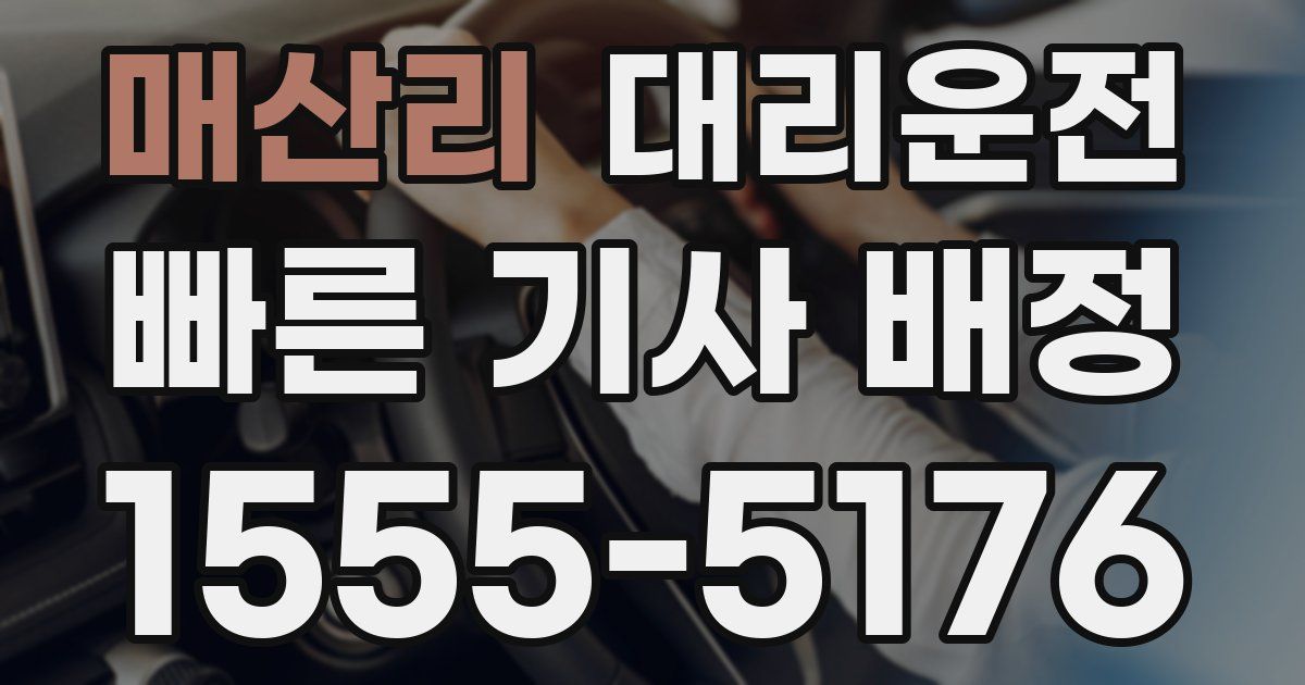 일일대리기사
