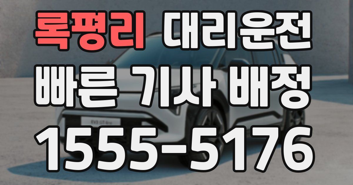 일일대리기사