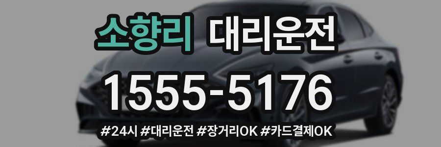 소향리 대리운전