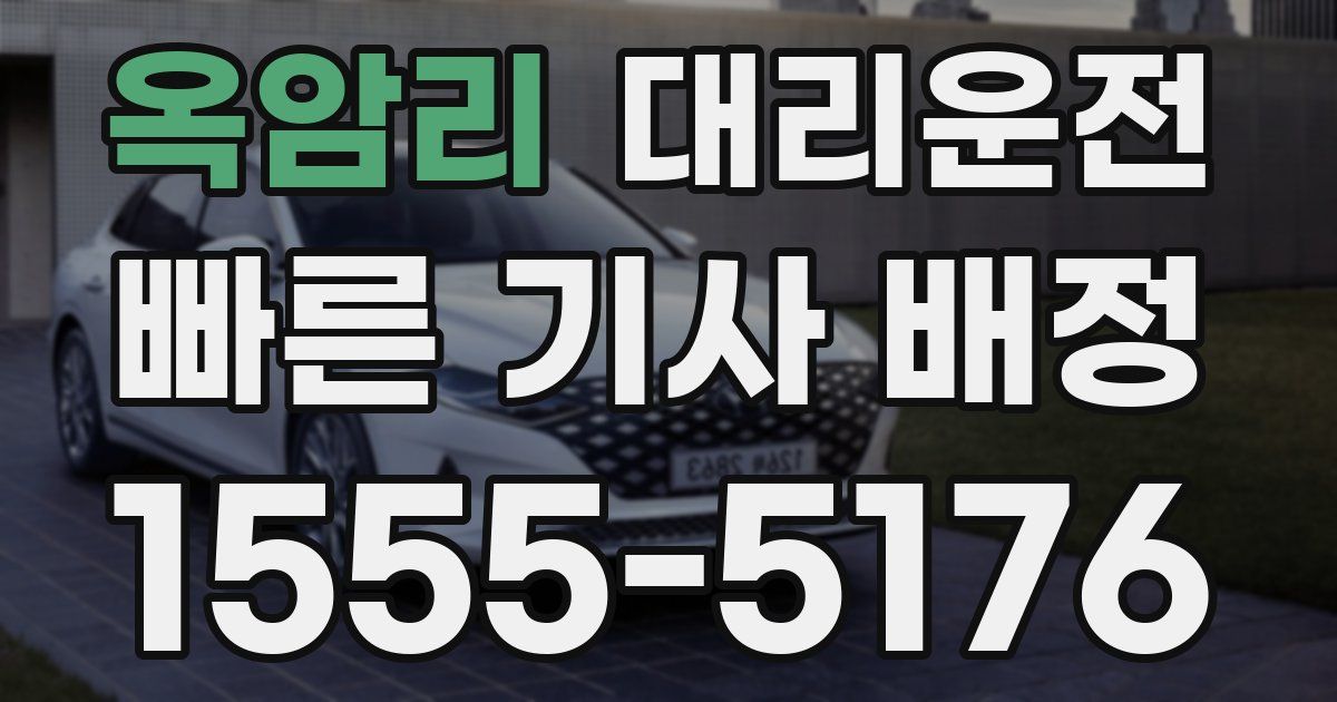 일일대리기사