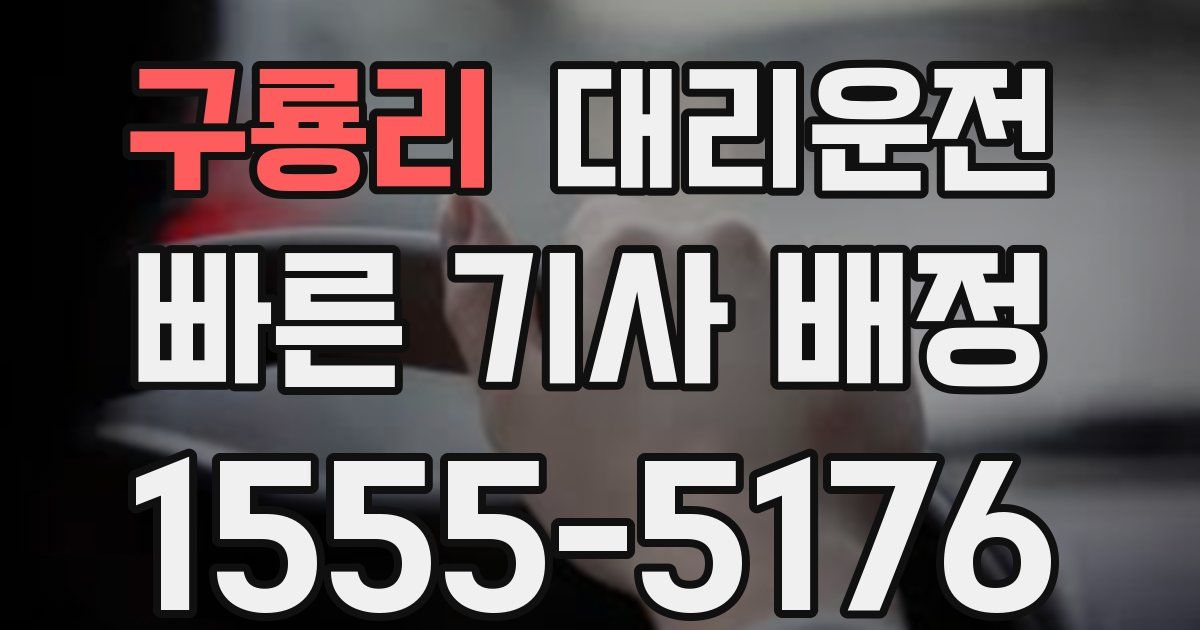 일일대리기사