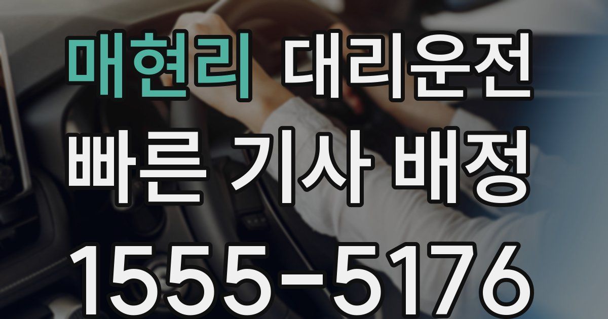 일일대리기사