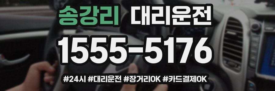 송강리 대리운전