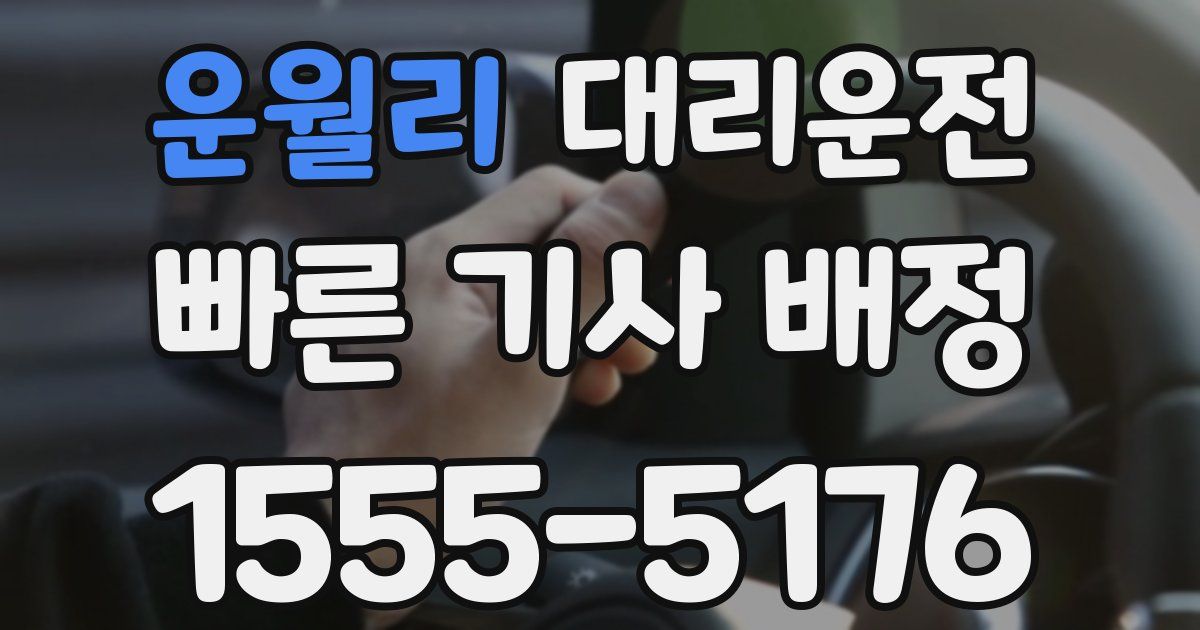 일일대리기사