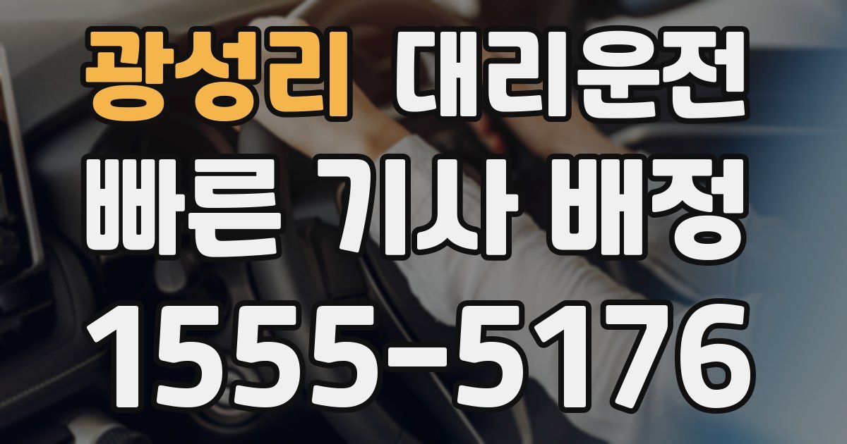 일일대리기사