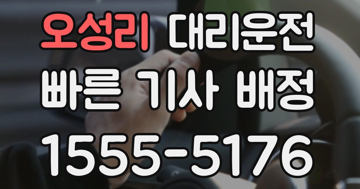 일일대리기사