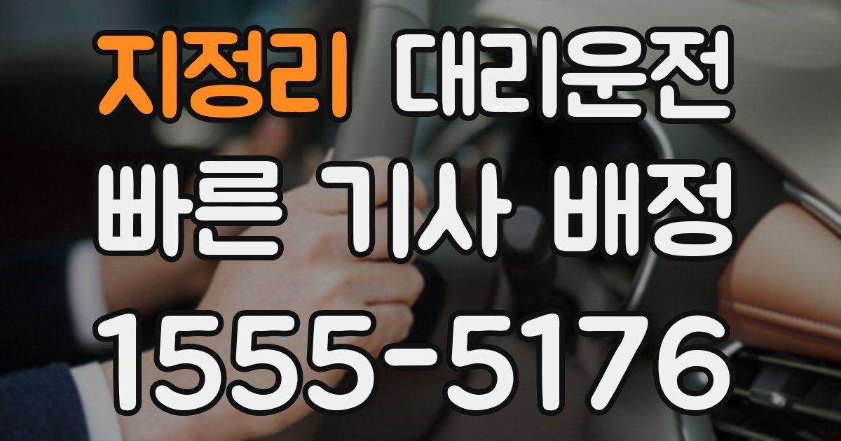 일일대리기사
