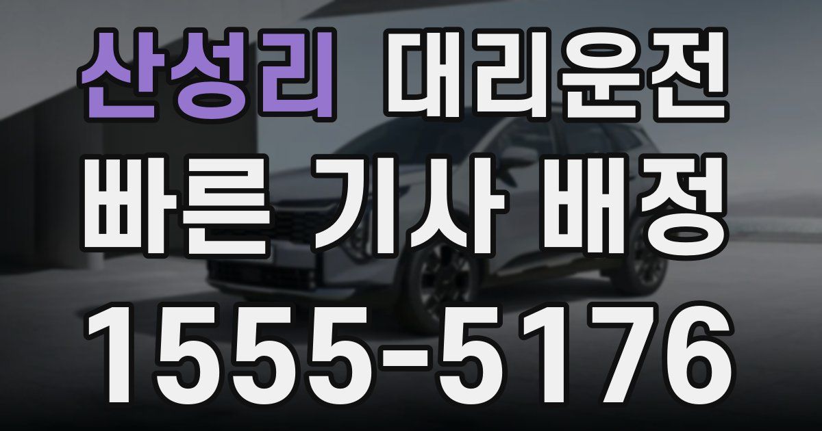 일일대리기사