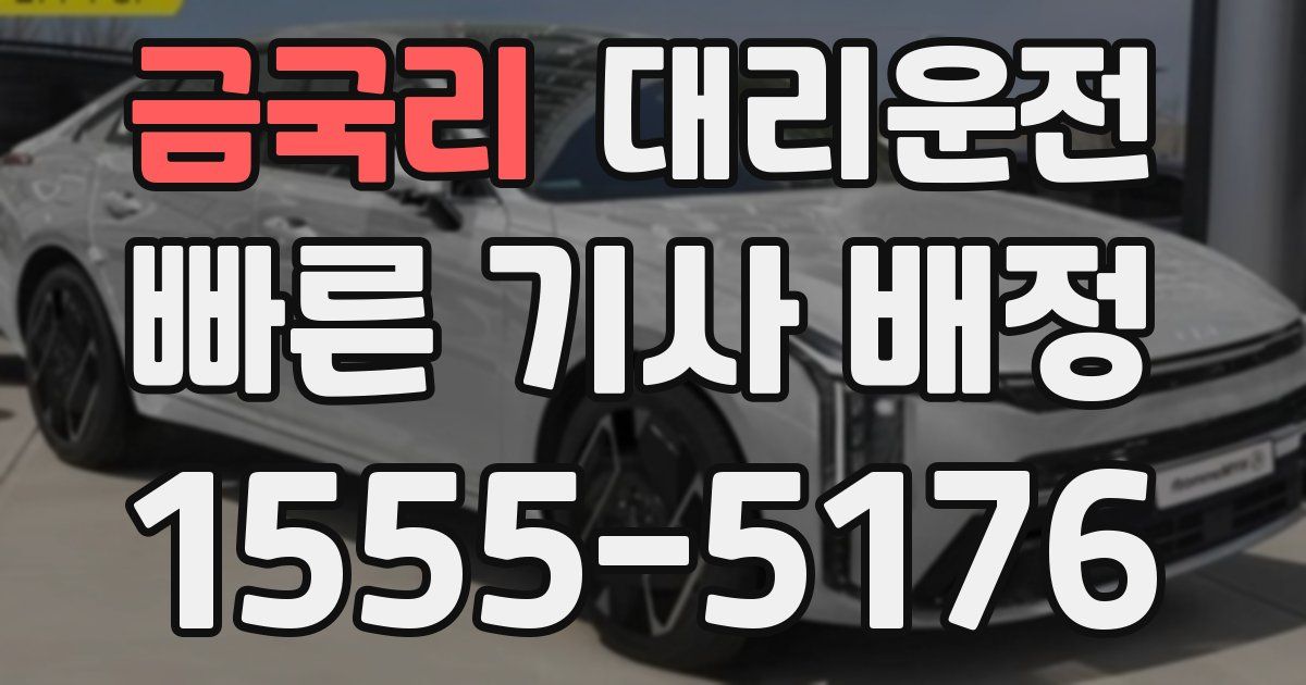 일일대리기사