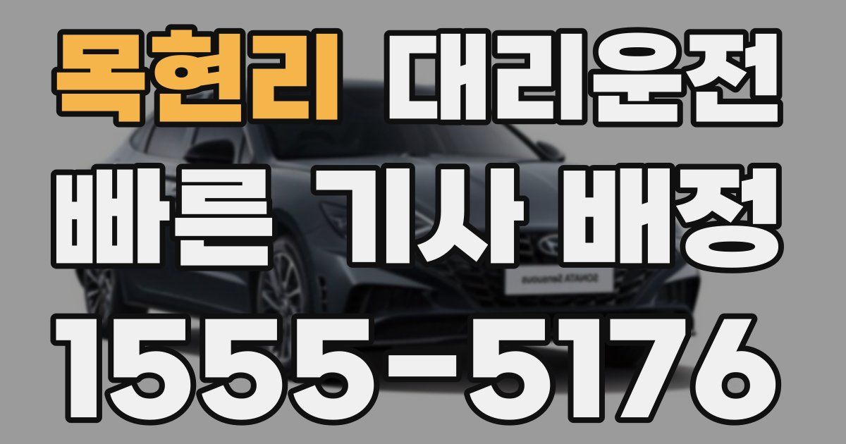 일일대리기사