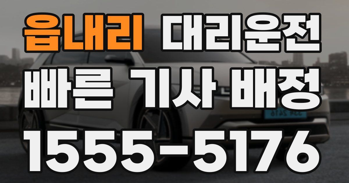 일일대리기사
