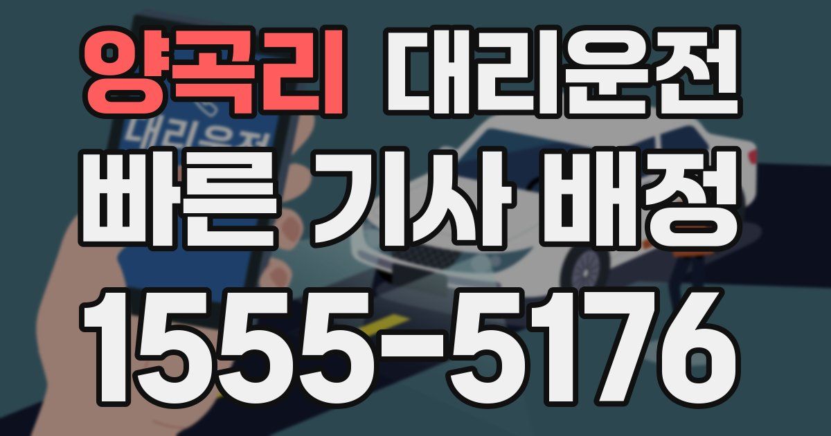 일일대리기사