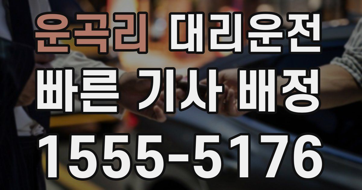 일일대리기사