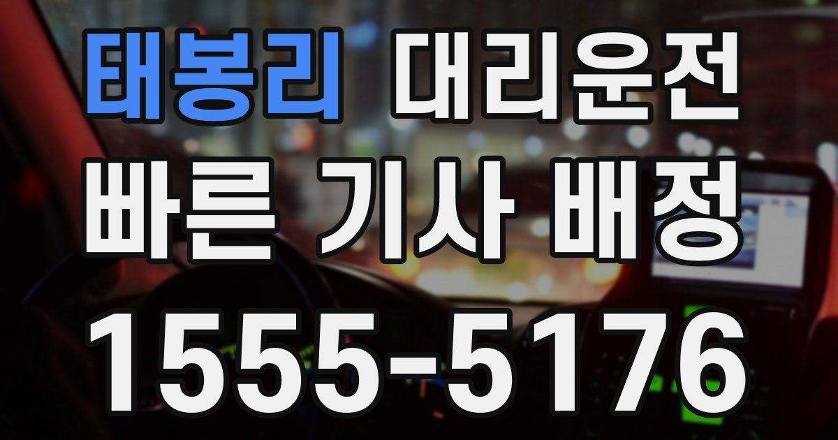 일일대리기사