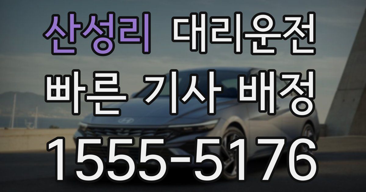 일일대리기사