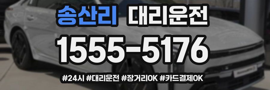 송산리 대리운전