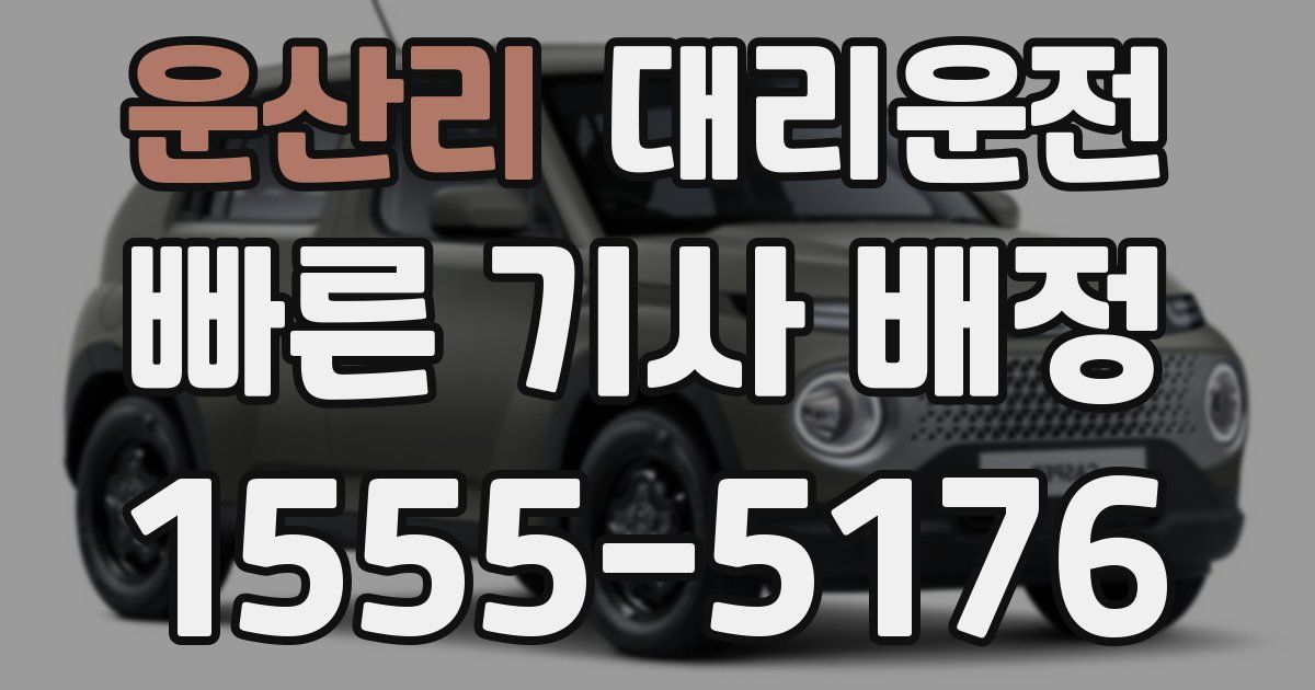 일일대리기사