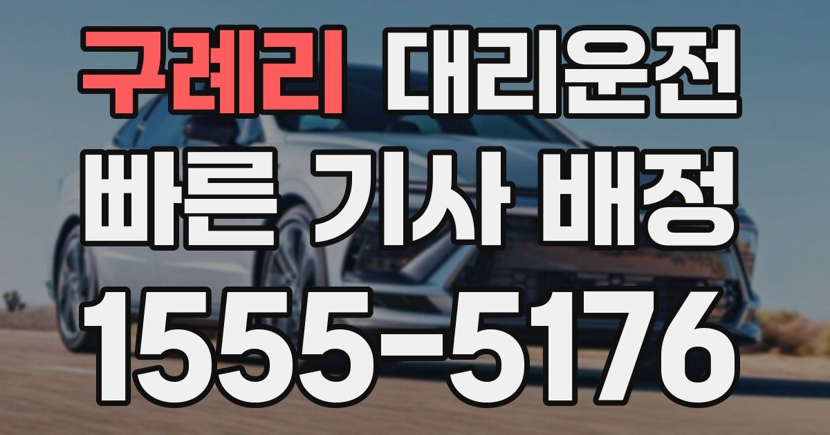 일일대리기사