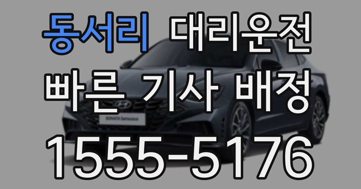 일일대리기사