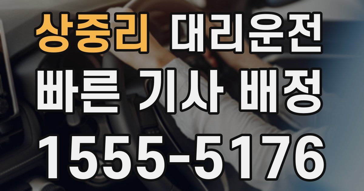 일일대리기사
