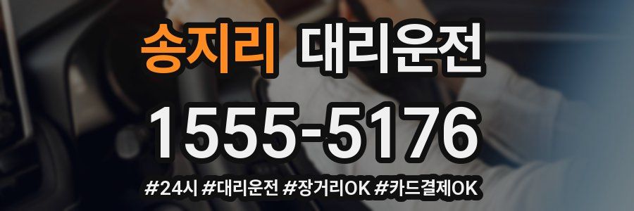 송지리 대리운전