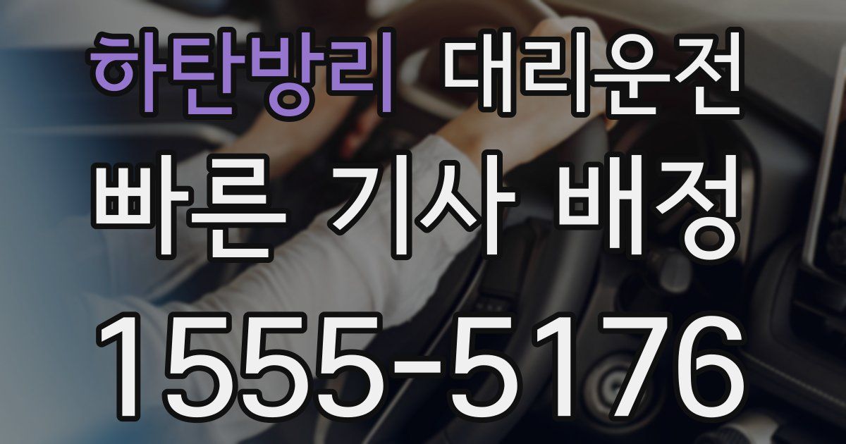 일일대리기사