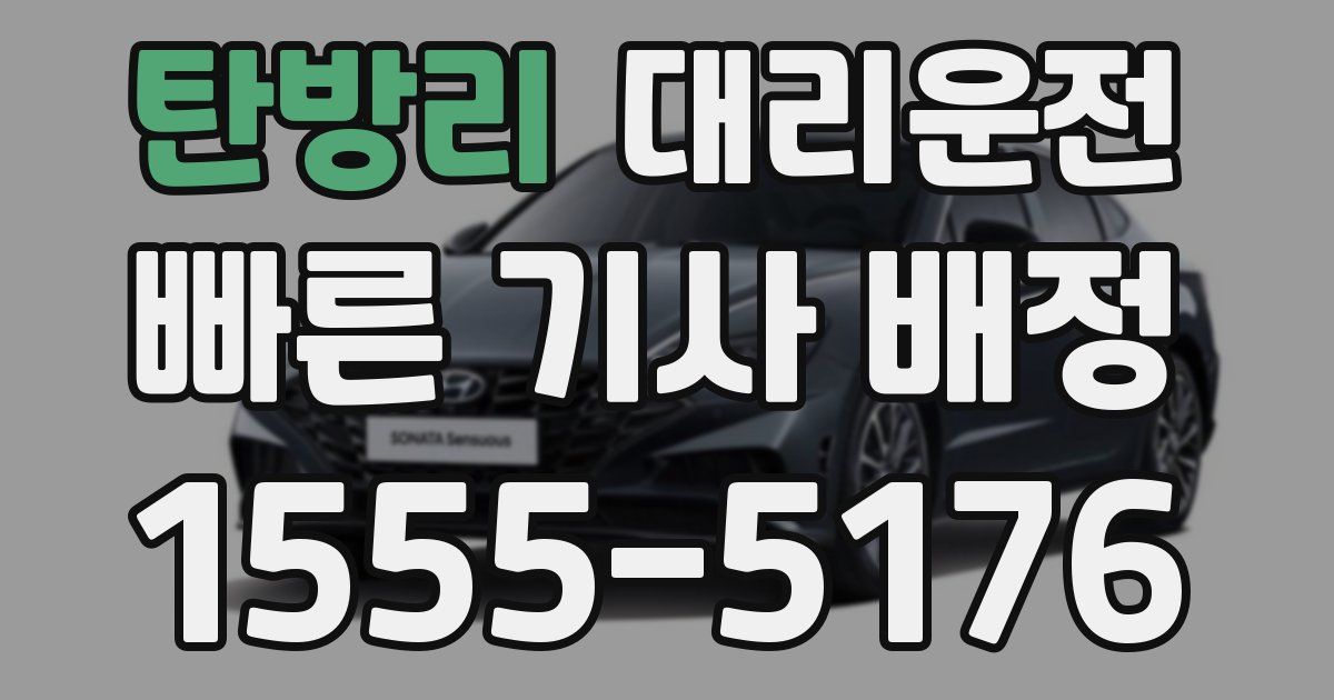 일일대리기사