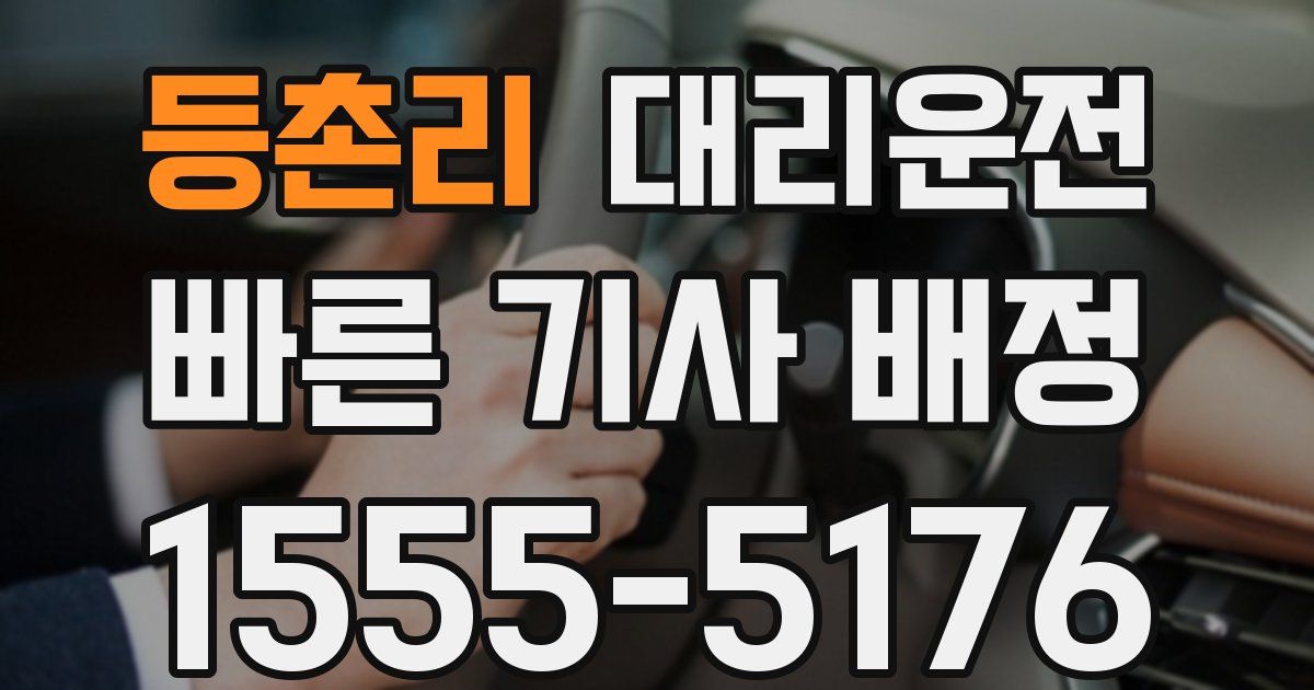 일일대리기사