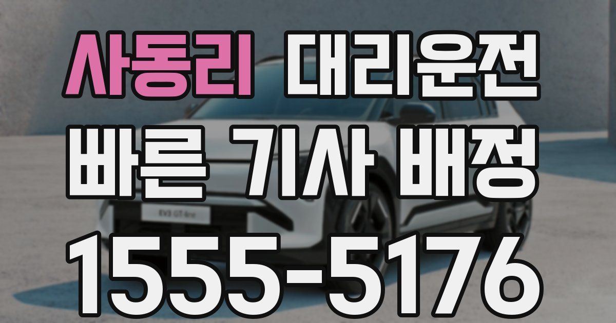 일일대리기사