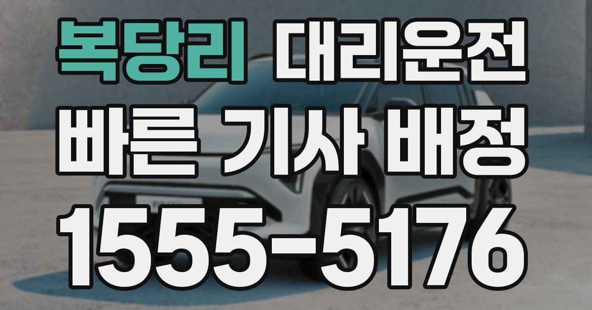 일일대리기사