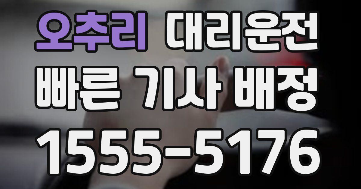 일일대리기사