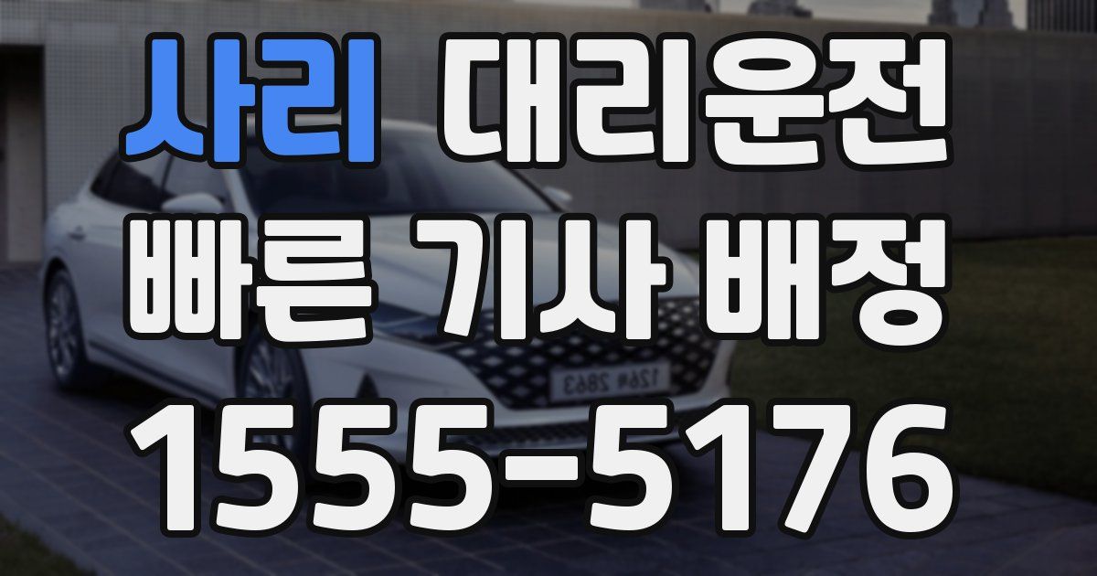 일일대리기사