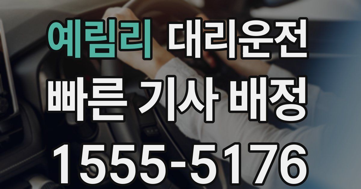 일일대리기사
