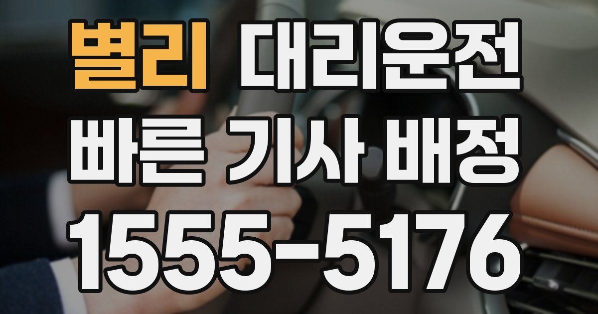 일일대리기사