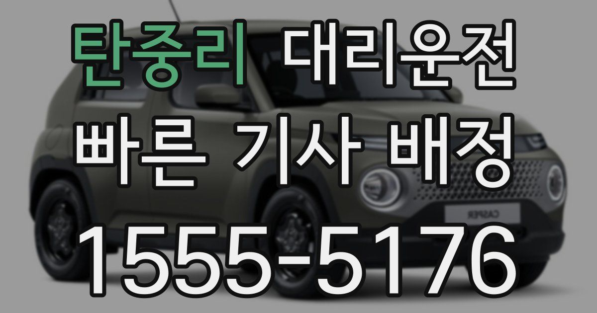 일일대리기사