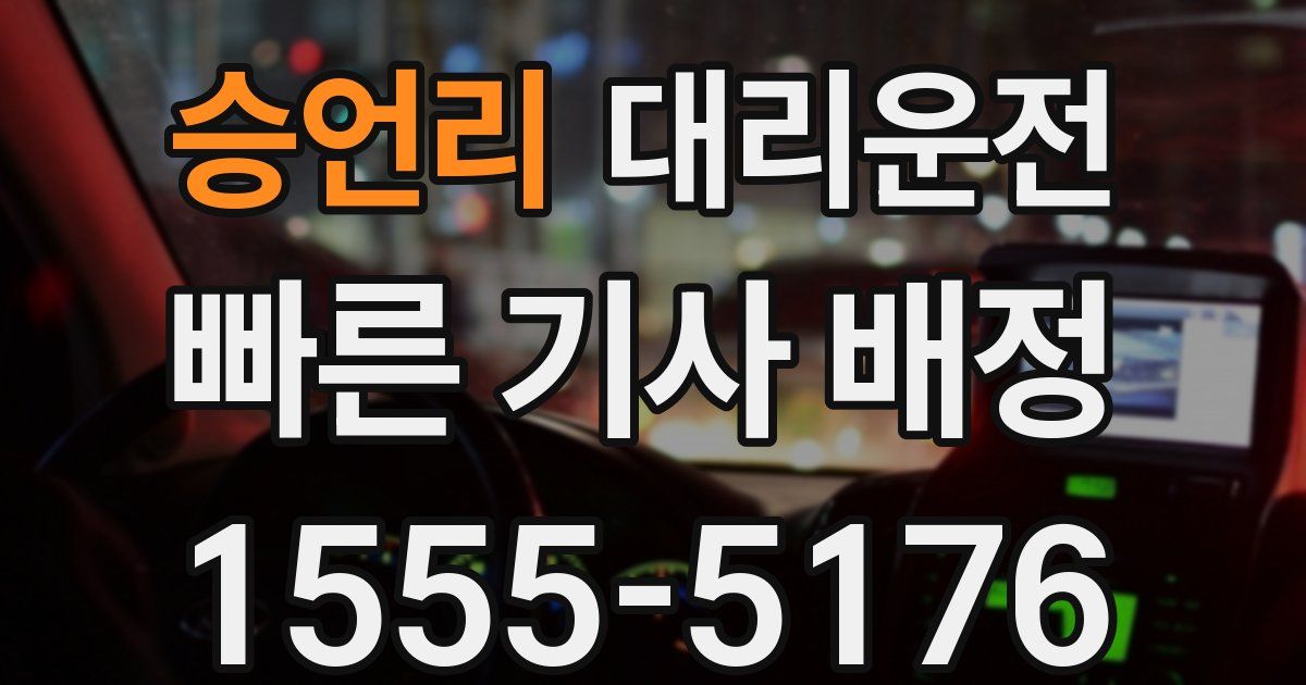 일일대리기사