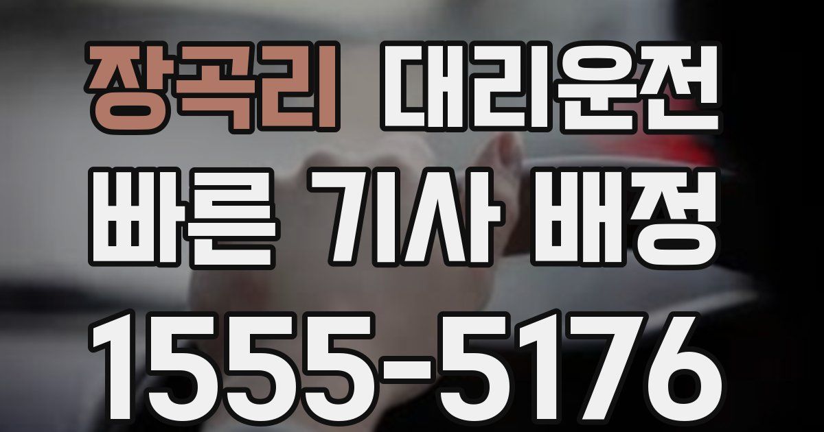일일대리기사